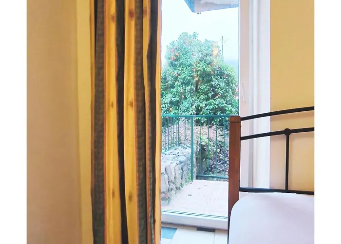 Senko * 트르파니