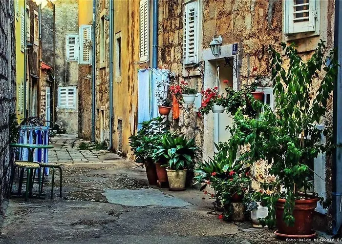 Senko 아파트 트르파니